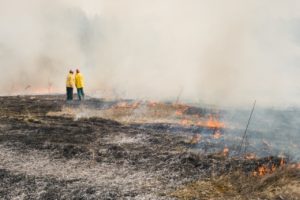 firefighter putting out fire on property covered by wildfire insurance
